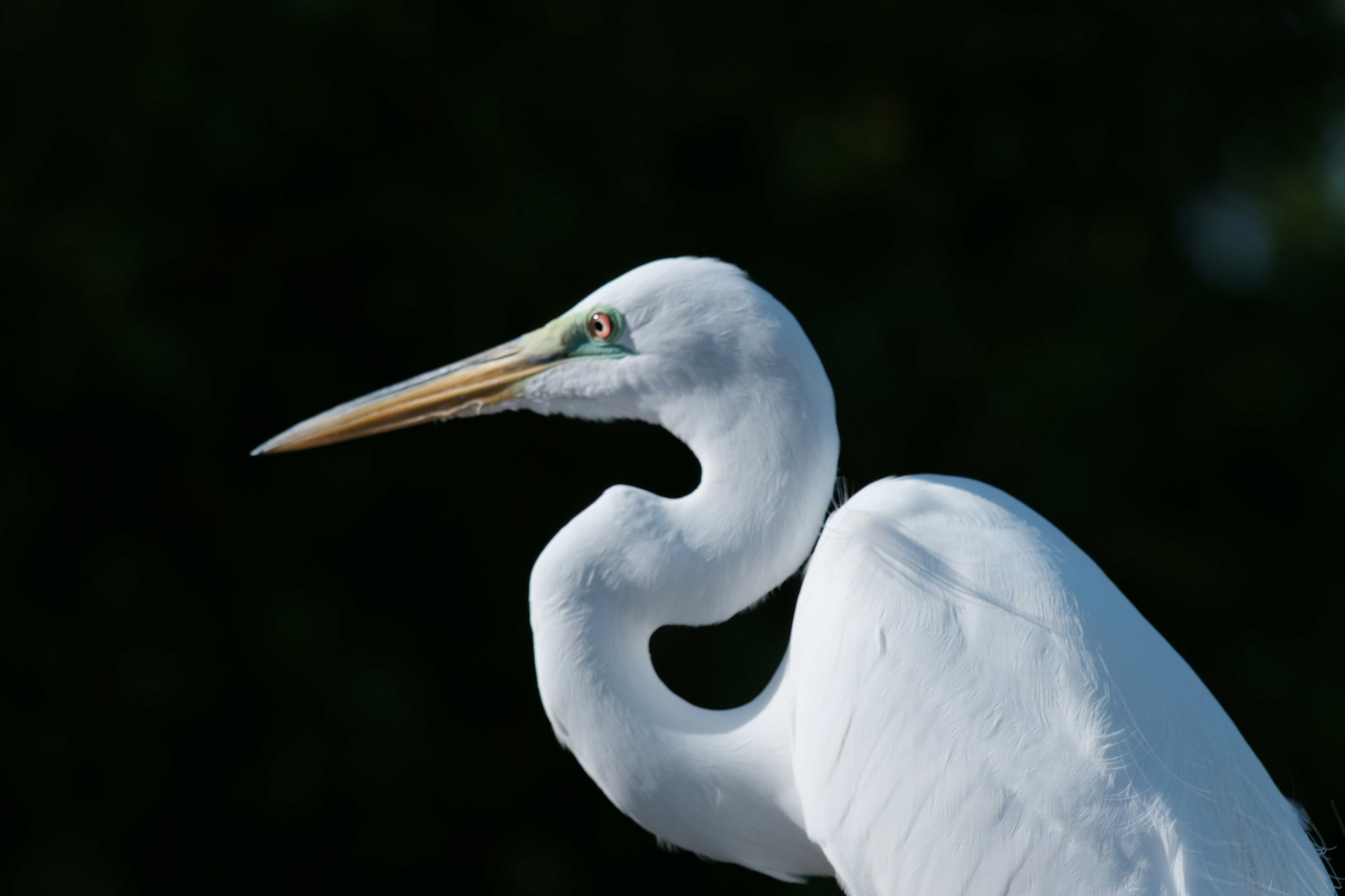 Photo by xiahuaphotography