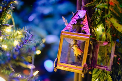 A garden corner featuring whimsical fairy lights tangled in blooming vines.