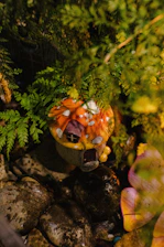 A whimsical, small mushroom-shaped house with a red-orange cap, dotted with white spots, nestled among vibrant green ferns. The structure has a tiny window and a door, adding to its fairy-tale charm. The ground around the house is covered with wet stones and leaves, contributing to the enchanted garden setting.