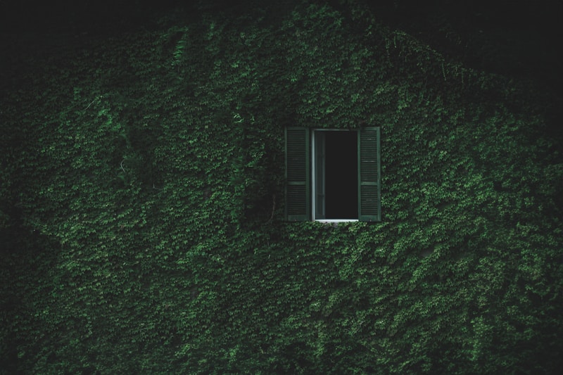 NatureConnection