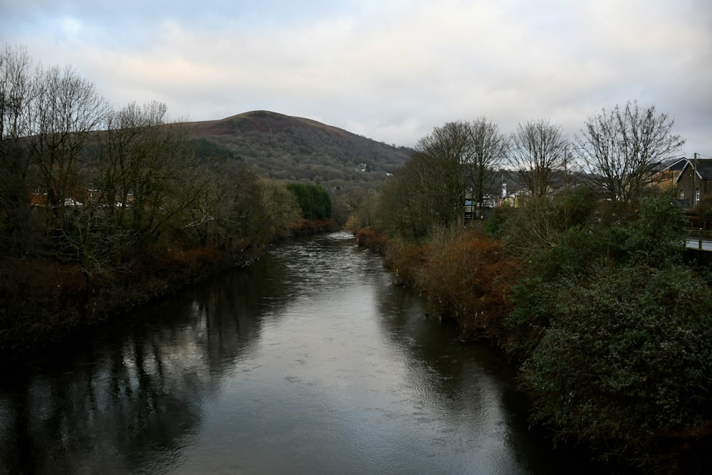 Ein Fluss, der durch einen üppigen grünen Wald fließt