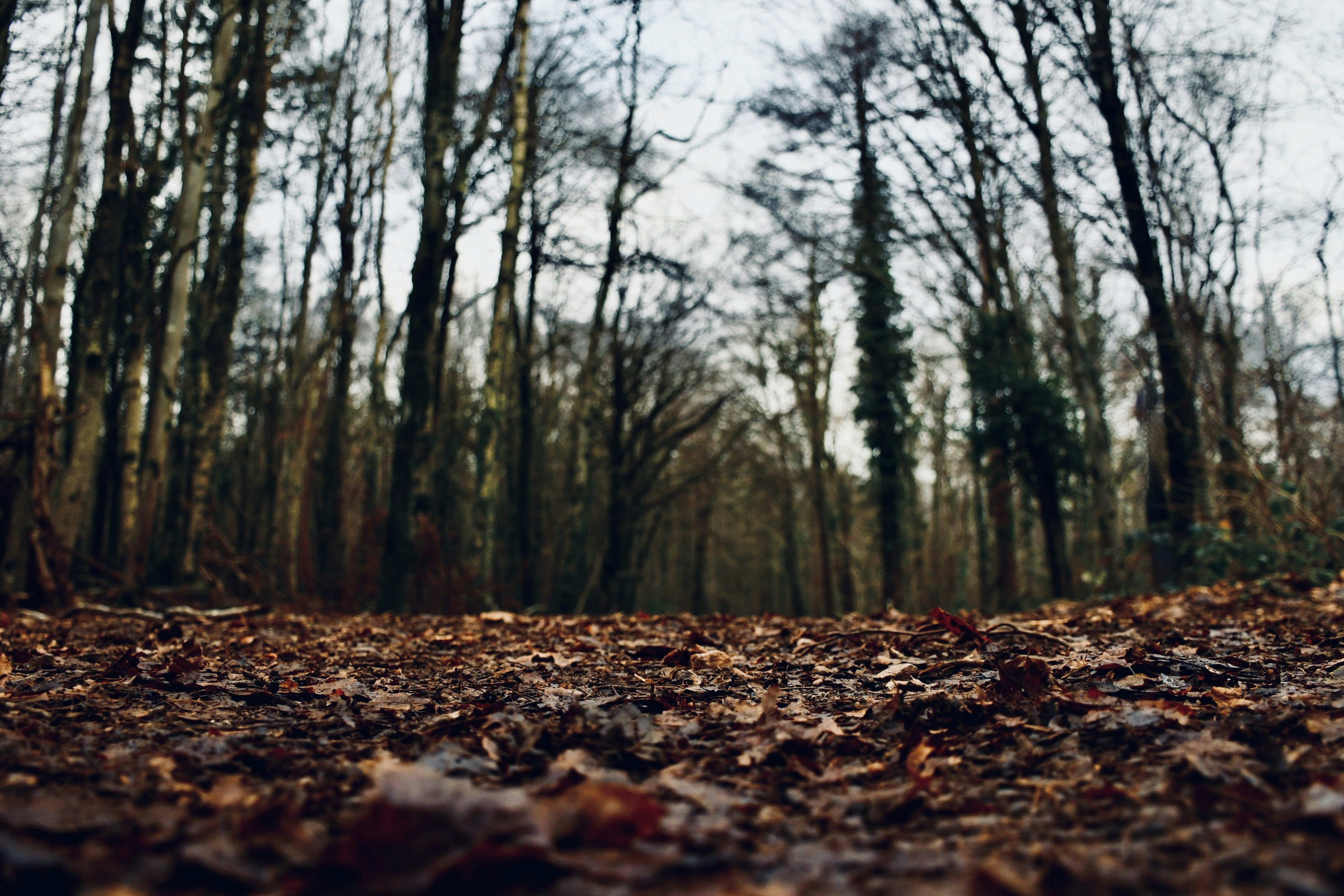 Photo by wrishi2004m