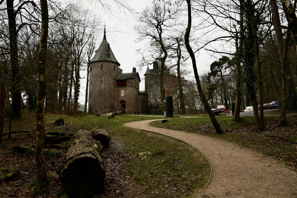 a stone castle in the middle of a forest