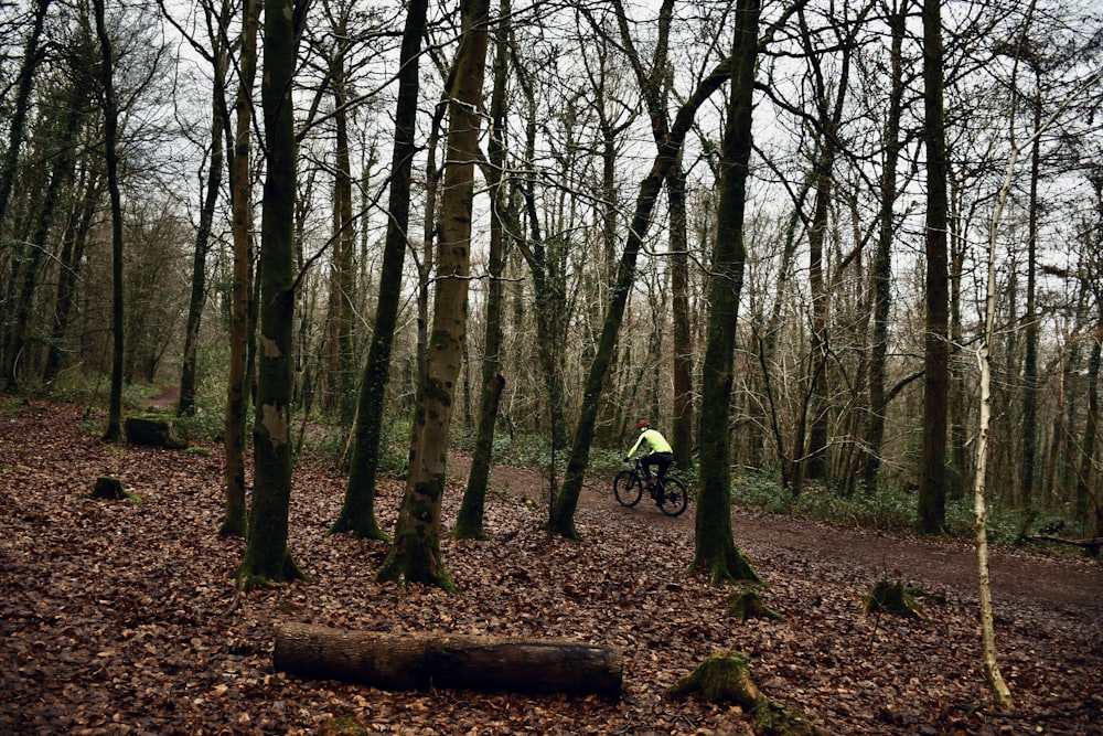 a man riding a bike through a forest filled with trees