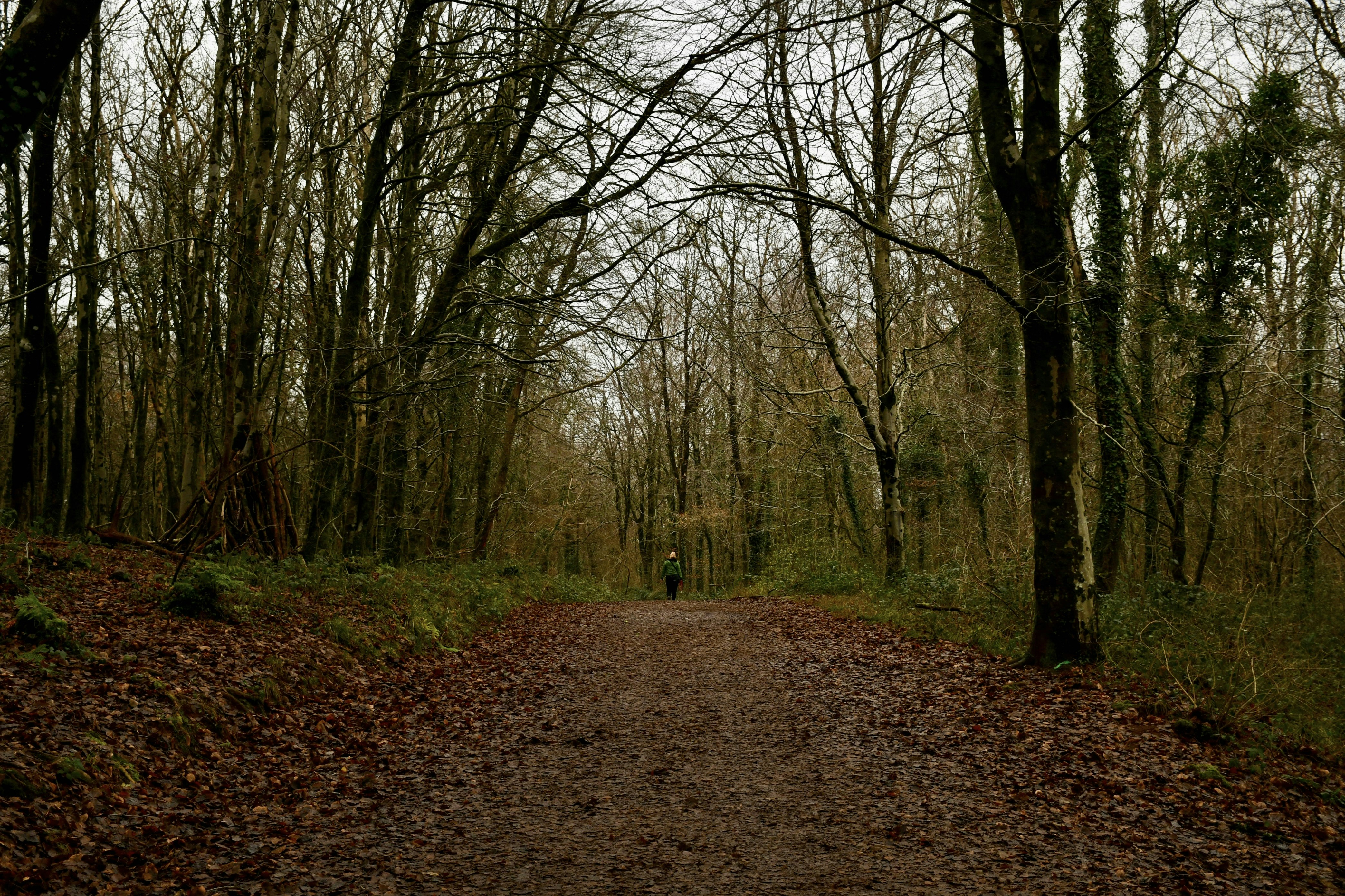 Photo by wrishi2004m