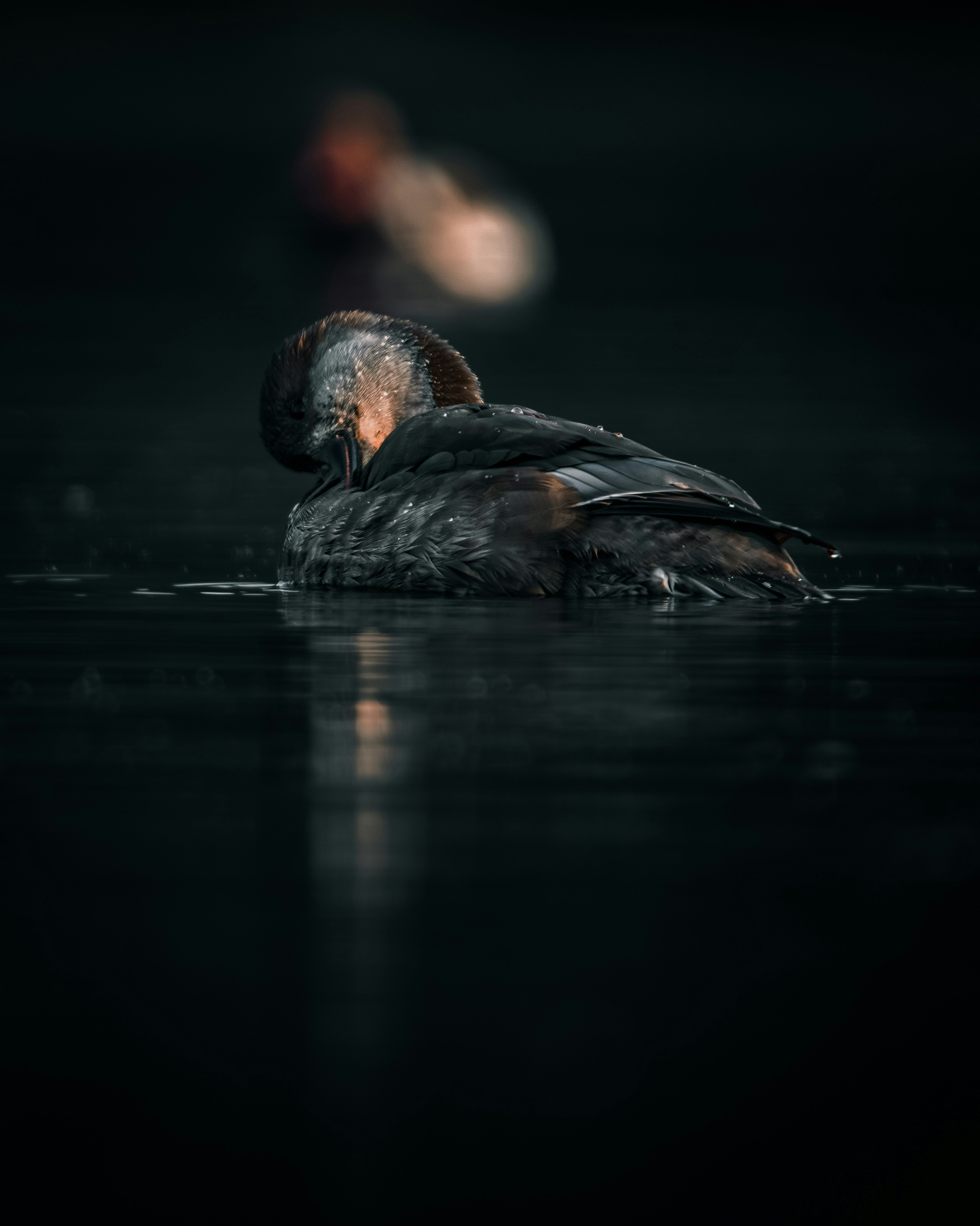 Photo by harshit_suryawanshi