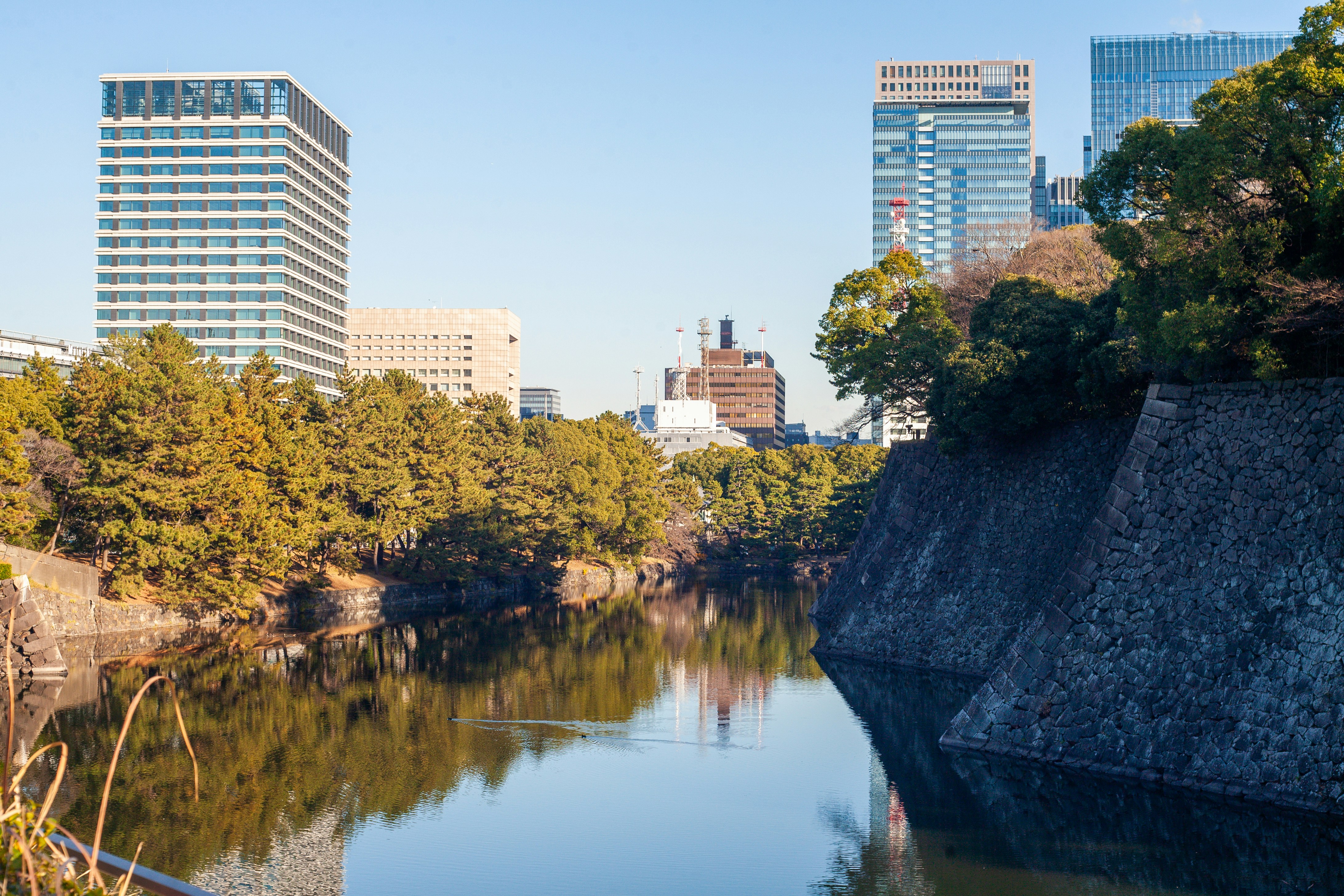 a body of water surrounded by tall buildings