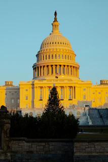 A dignified view of the Virginia State Capitol bathed in soft morning light, framed by historic oak trees.
