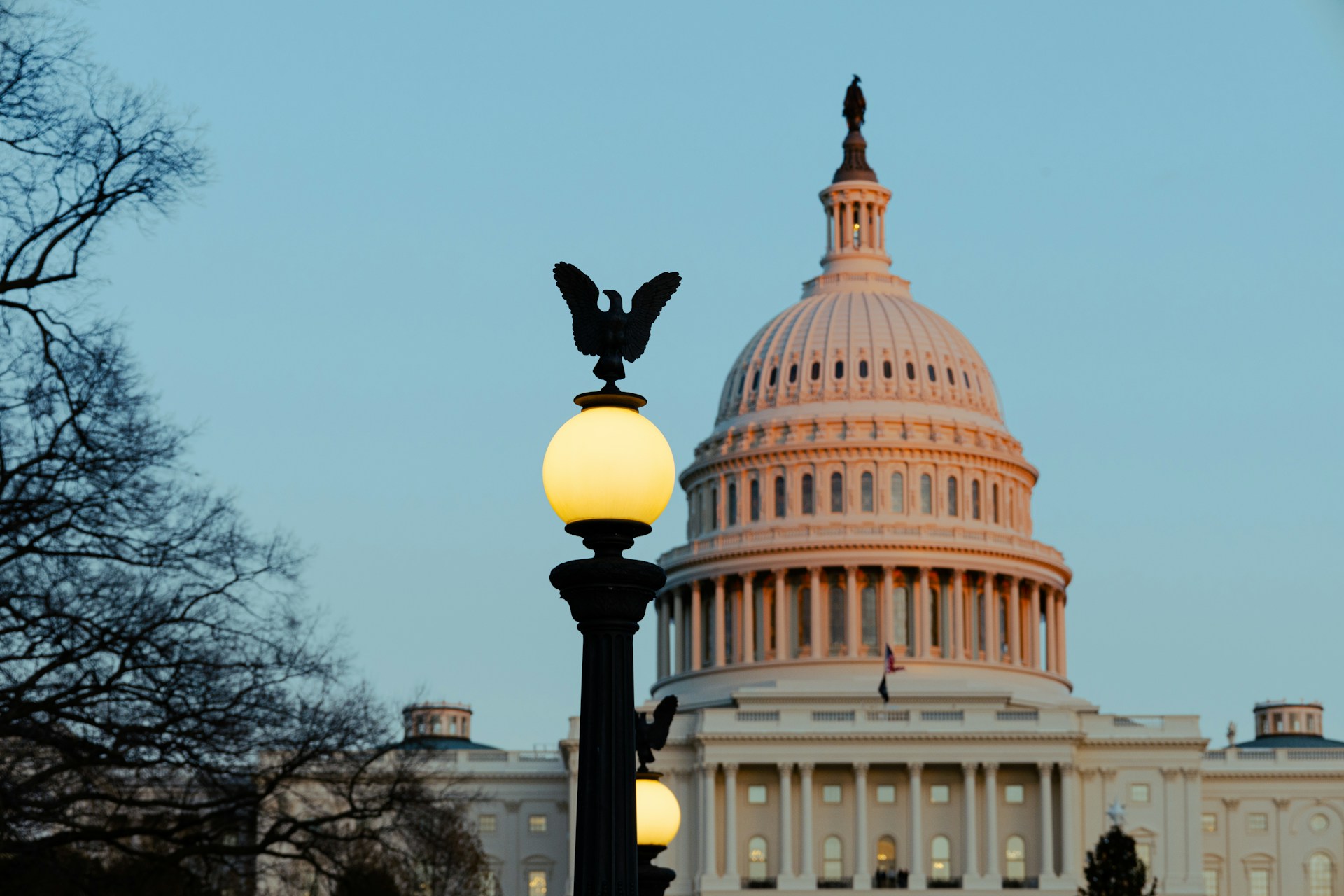a lamp post with the dome of the capitol building in the background