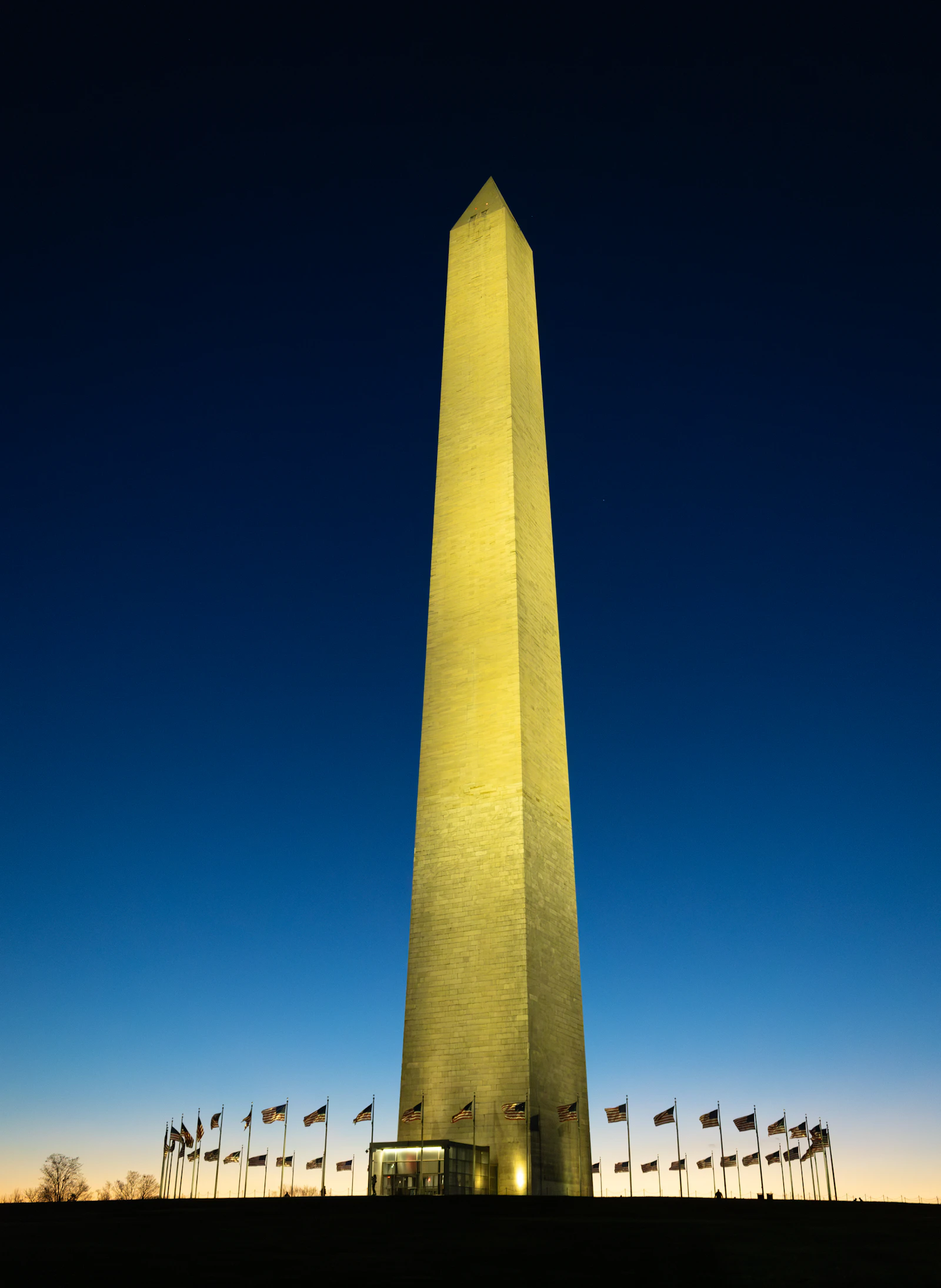Washington Monument illuminated against the night sky