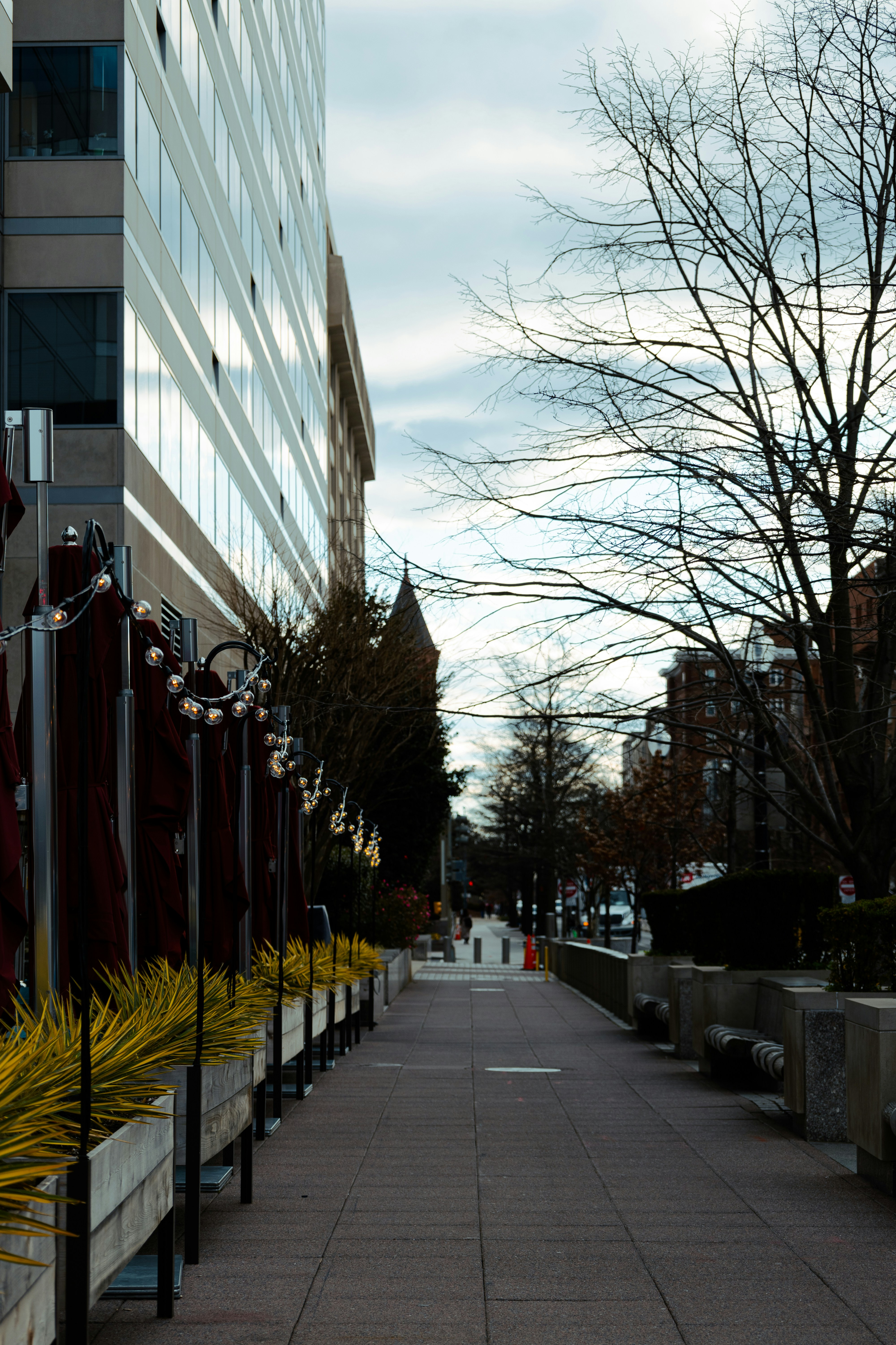 Photo by vincentyuan87