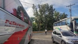 A busy roadside scene featuring two large buses and a car parked on the side of the road. The surrounding environment includes tall trees and utility poles with power lines. One of the buses is labeled 'Peñafrancia Tours and Travel Transport Inc.', and the other is from 'Bicol Isarog'. A person stands on the roadside near the buses.