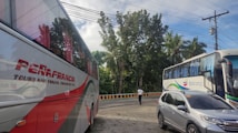 A busy roadside scene featuring two large buses and a car parked on the side of the road. The surrounding environment includes tall trees and utility poles with power lines. One of the buses is labeled 'Peñafrancia Tours and Travel Transport Inc.', and the other is from 'Bicol Isarog'. A person stands on the roadside near the buses.