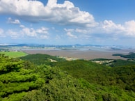 A panoramic view of the Amazon rainforest in the background.
