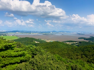 A panoramic view of the Amazon rainforest in the background.