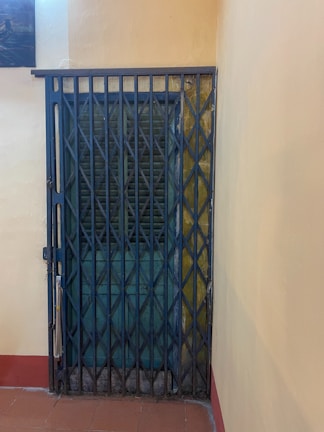 A metal accordion-style security gate is closed in front of a wooden door with a dark, weathered finish. The walls surrounding the door are painted in a pale yellow hue, and a red trim lines the floor. There is a small portion of an artwork visible in the upper left corner.