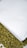 A collection of unroasted green coffee beans is partially covered by a white paper or packaging. The beans have a raw, natural appearance and are scattered below the white surface.