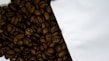 A close-up view of roasted coffee beans spilling out from a white package onto a surface. The coffee beans are dark, shiny, and have a rich texture, indicating freshness.
