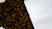 Close-up of rich, roasted coffee beans spilling from a handcrafted ceramic bag with Moroccan patterns.