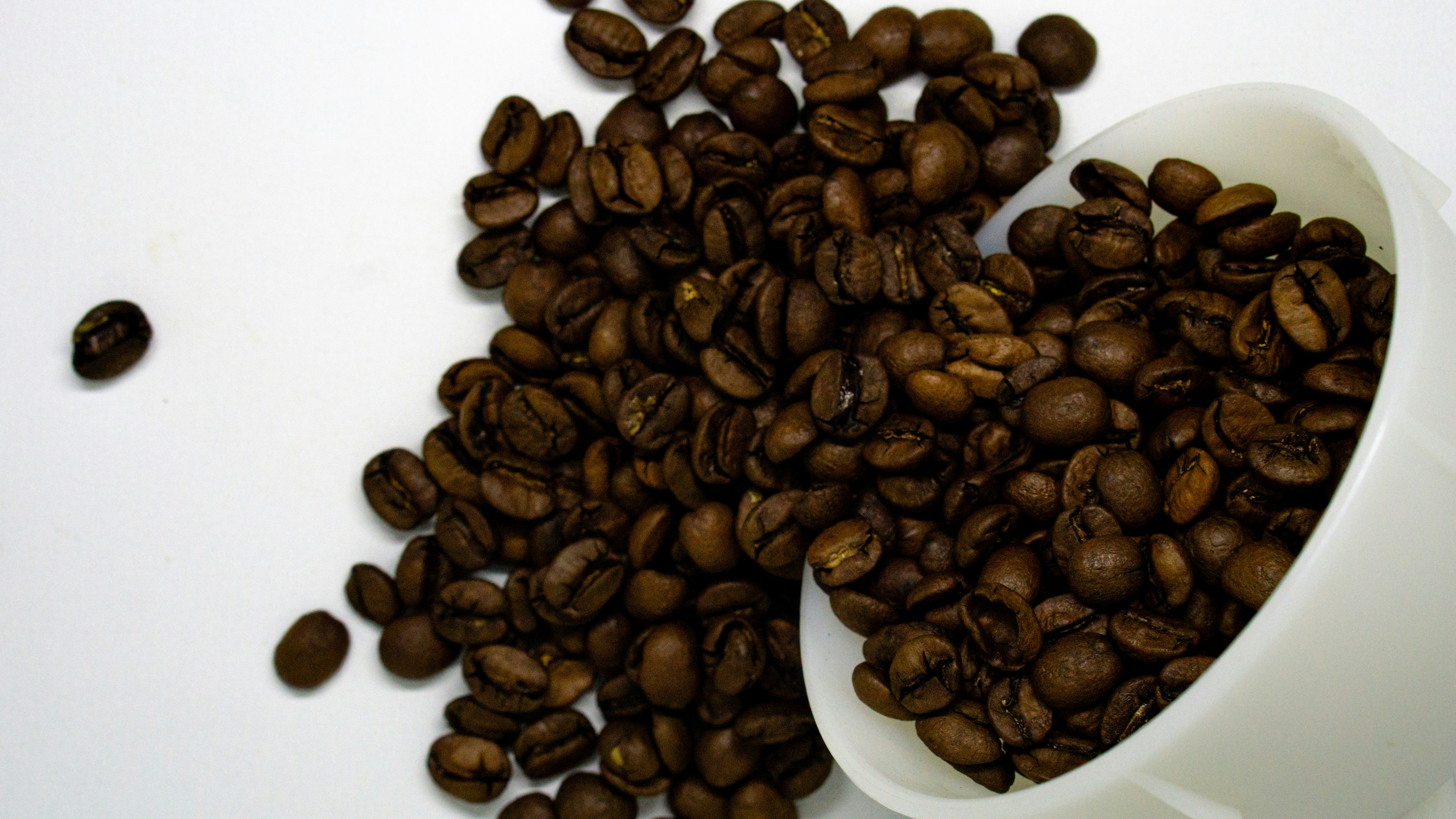 a white cup filled with coffee beans on top of a table