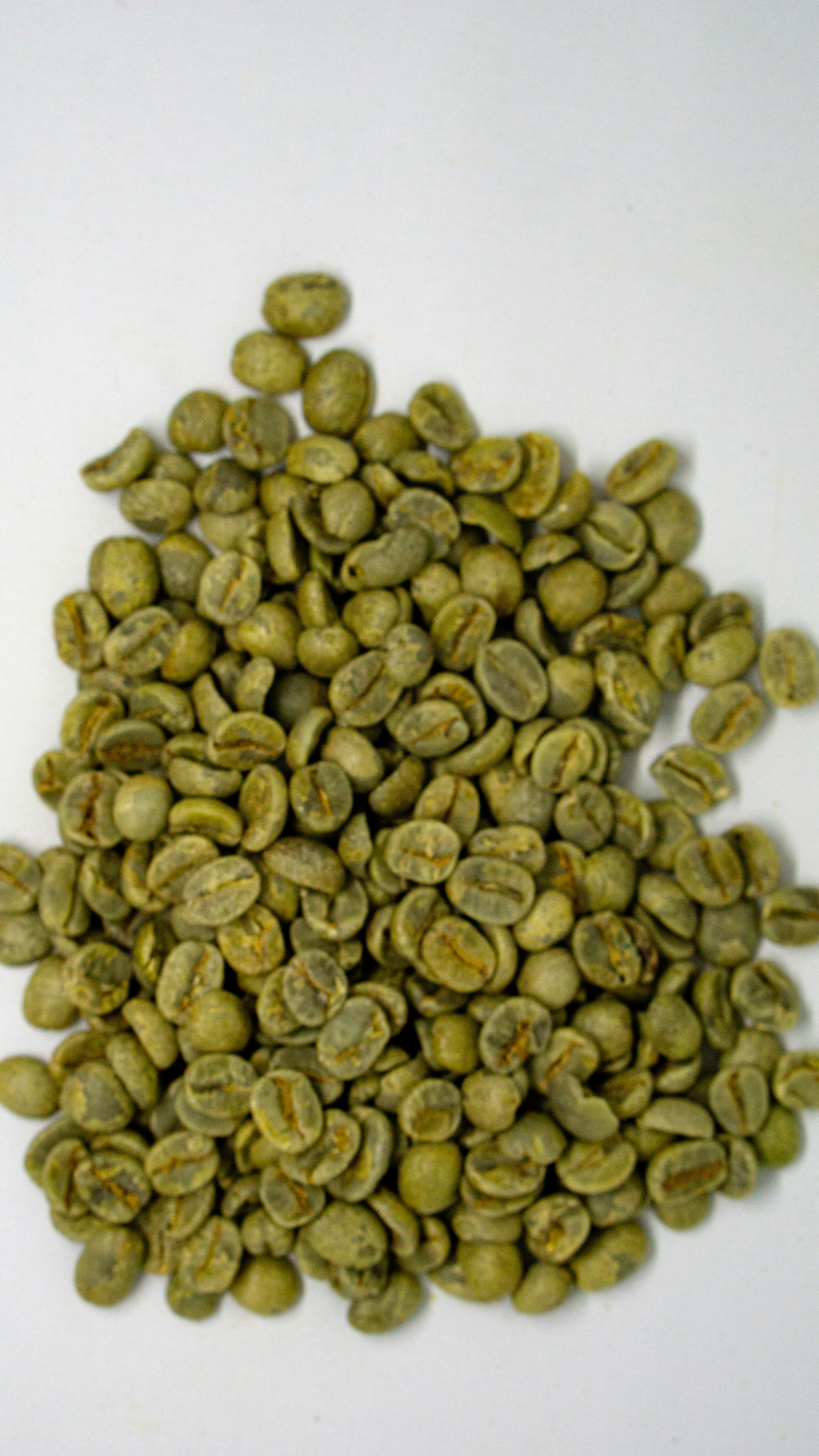a pile of green coffee beans on a white surface