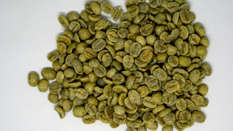 Workers carefully sorting green coffee beans in a rustic warehouse