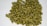 A pile of unroasted green coffee beans spread across a white background.