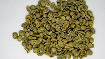 A pile of unroasted green coffee beans spread across a white background.