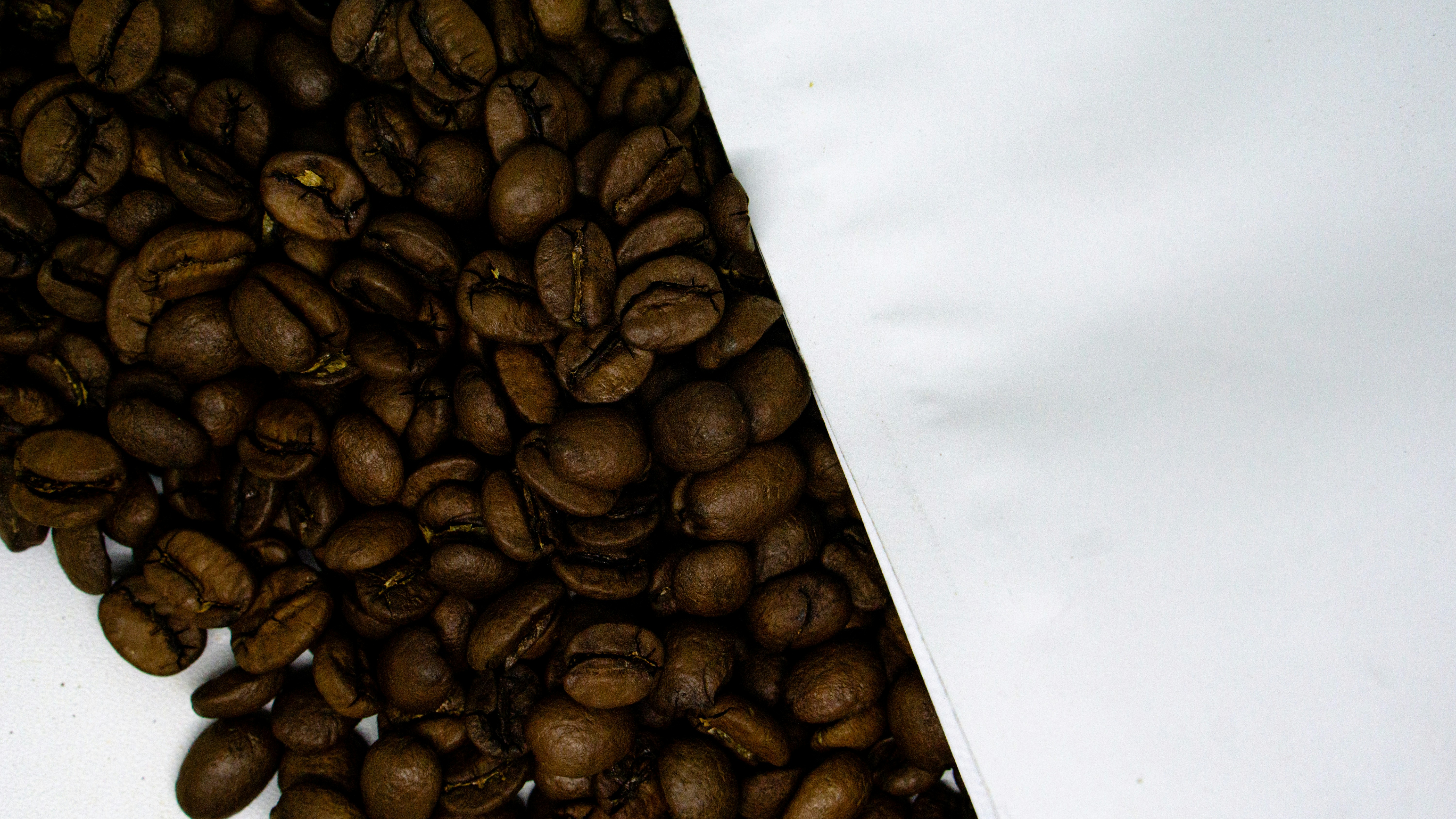 Café Especial Andino