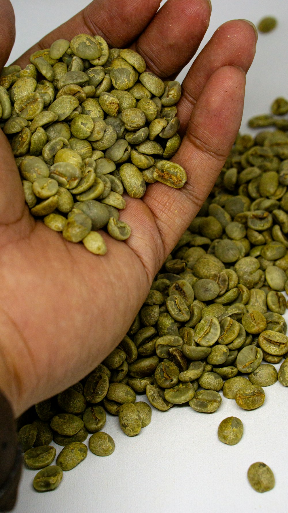 a person holding a handful of green coffee beans