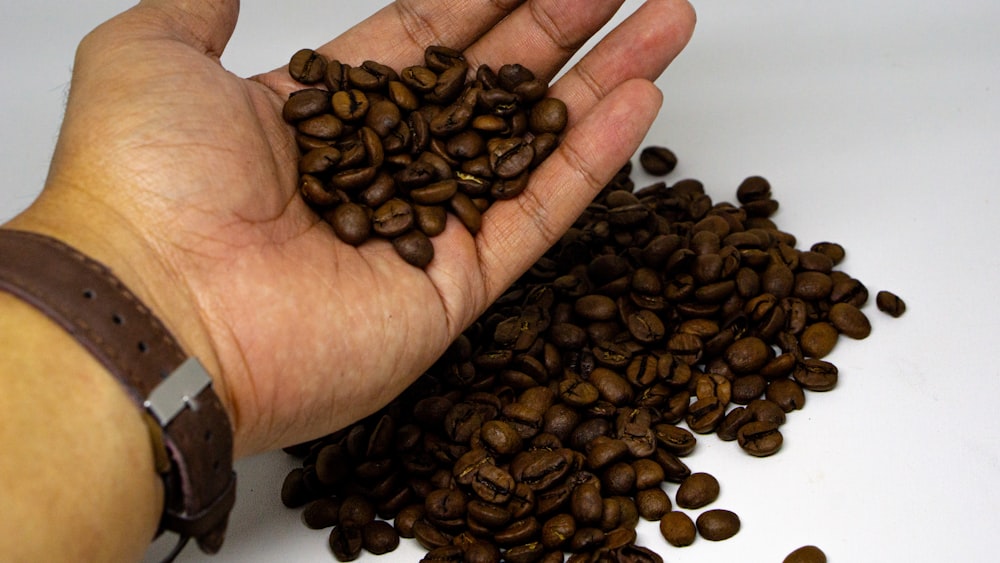 a hand holding a handful of coffee beans