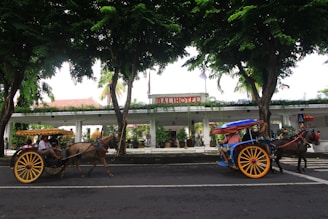 Two horse-drawn carriages pass by each other on a road lined with lush green trees. Behind them stands a building with a sign that reads 'Bali Hotel,' featuring potted plants and a large entrance.