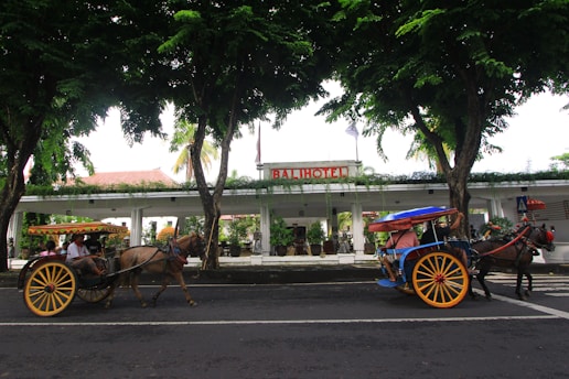 Two horse-drawn carriages pass by each other on a road lined with lush green trees. Behind them stands a building with a sign that reads 'Bali Hotel,' featuring potted plants and a large entrance.