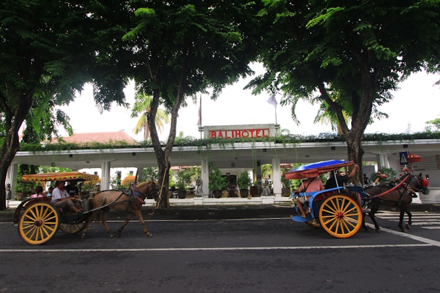 Two horse-drawn carriages pass by each other on a road lined with lush green trees. Behind them stands a building with a sign that reads 'Bali Hotel,' featuring potted plants and a large entrance.