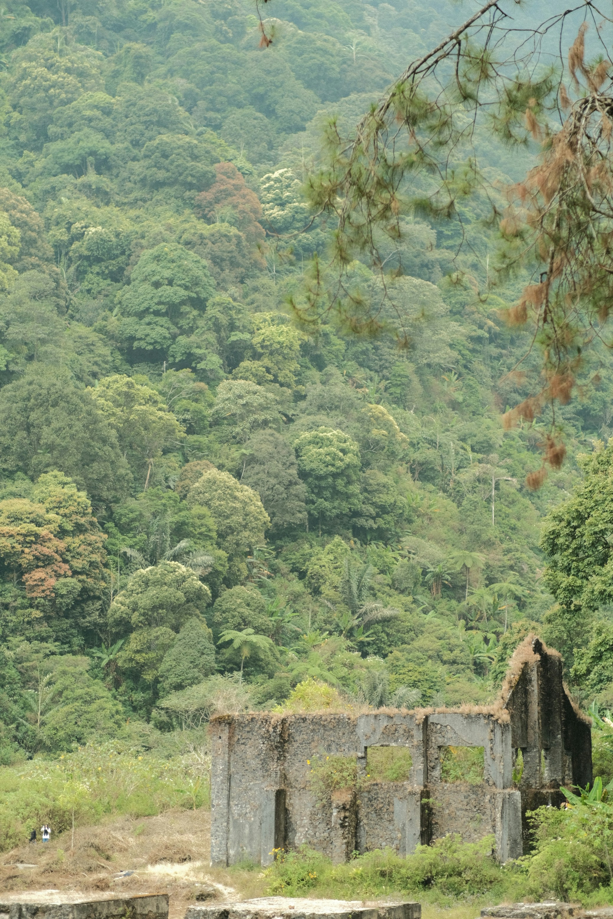 Photo by septian_s09