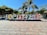 Large colorful letters spell out a word in a public plaza with palm trees and other greenery in the background. People are interacting with the letters, and vibrant decorations are strung throughout the area, suggesting a festive atmosphere.