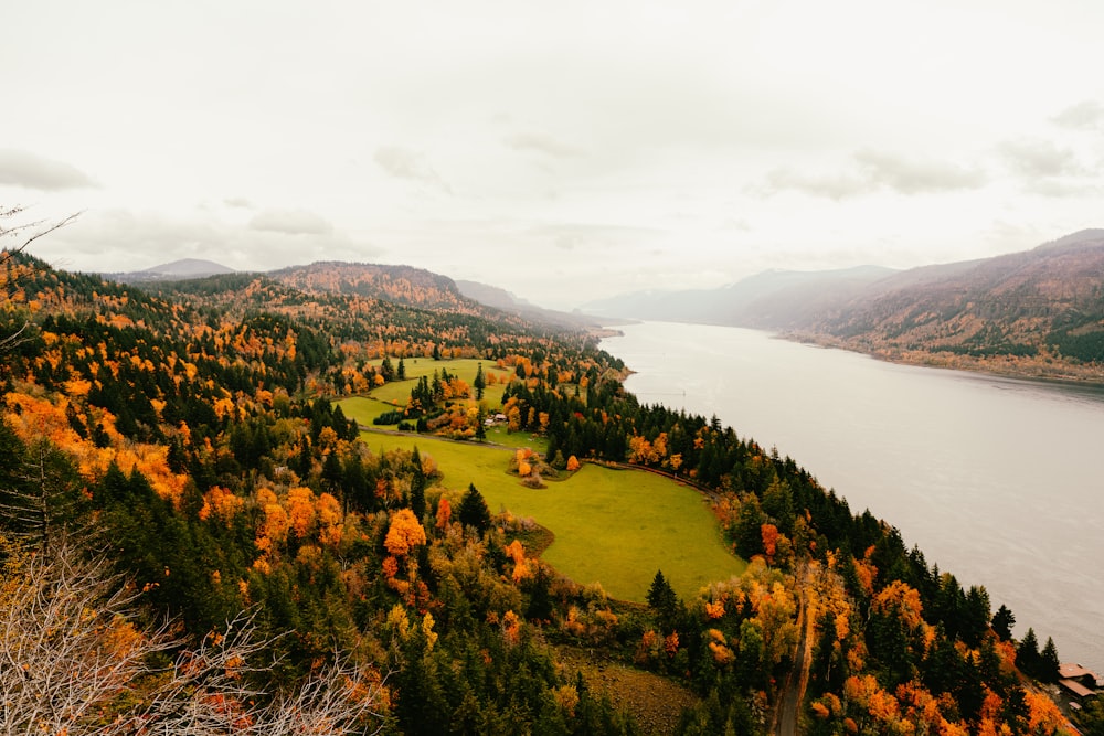 a scenic view of a lake surrounded by trees