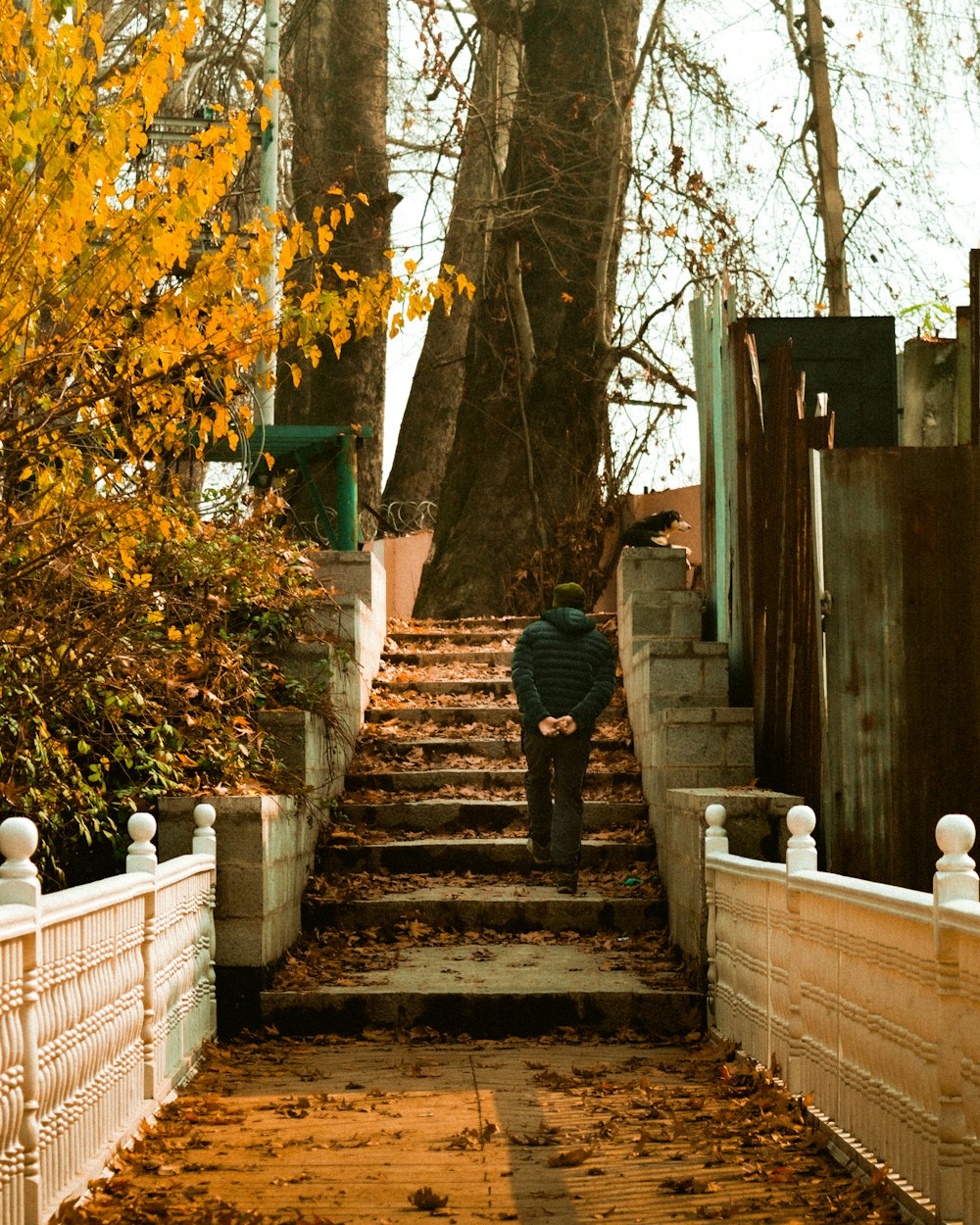 a person walking up a set of stairs