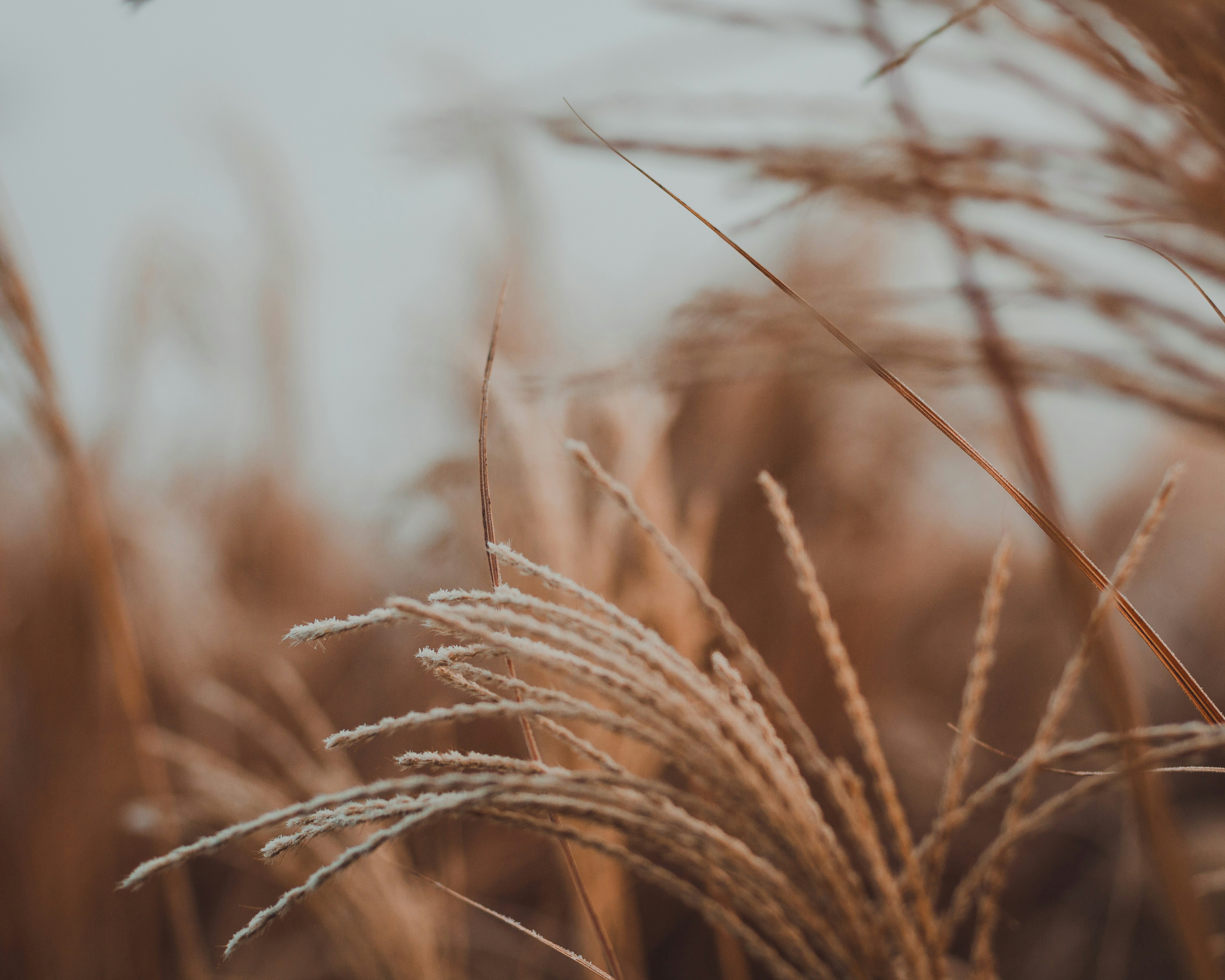 Photo by splashbrobuttsy91