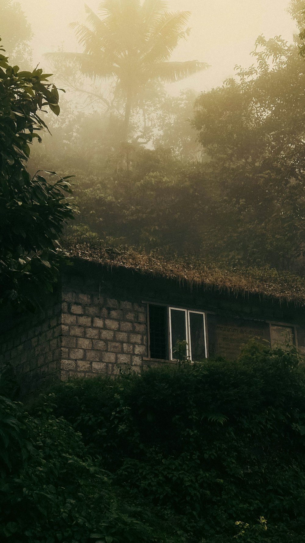 a house with a thatched roof in the middle of a forest