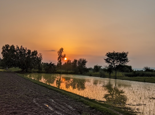A serene landscape featuring a sunset with the sun setting behind a line of trees. The sky is filled with warm orange and yellow hues. Below the sky, there is a calm water body reflecting the vibrant colors and shapes of the trees. The surrounding area appears to be a cultivated field with visible patches of soil.