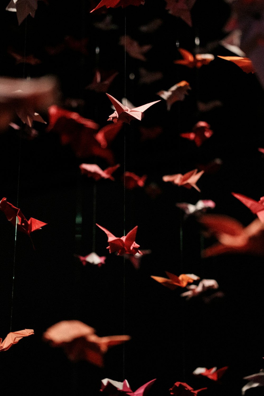 a group of red origami birds hanging from strings