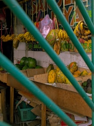 A small fruit stall displays an assortment of fresh produce behind a green metal fence. Bunches of bananas, watermelons, and papayas are visible, some hanging from ropes. The stall's shelves are made of wood, and several cardboard boxes are stored underneath.