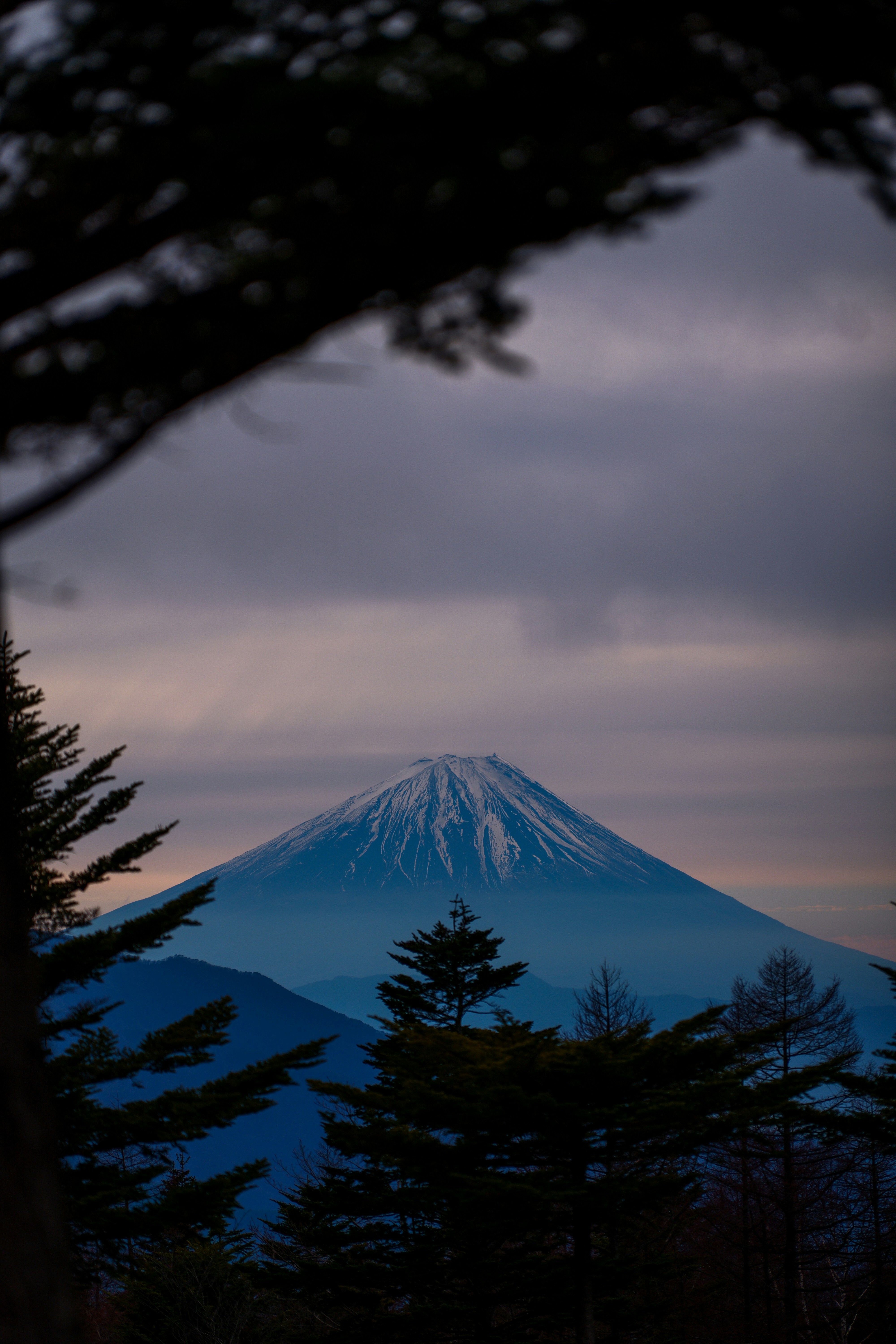 Photo by lumixs5m2
