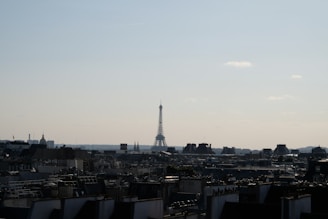 A scenic view of the Eiffel Tower at sunset with a clear sky.