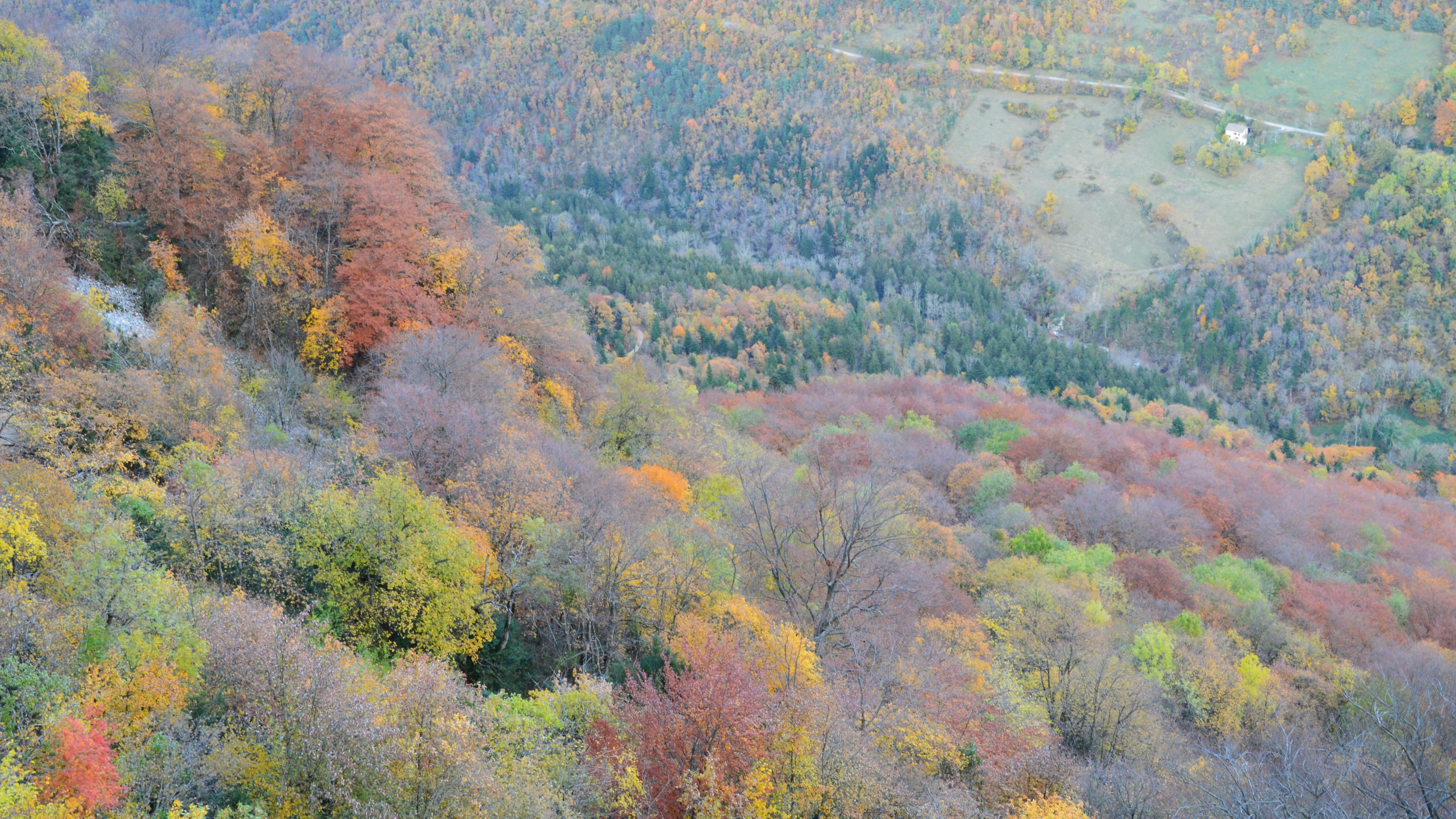 Tottori Sand Dunes in autumn