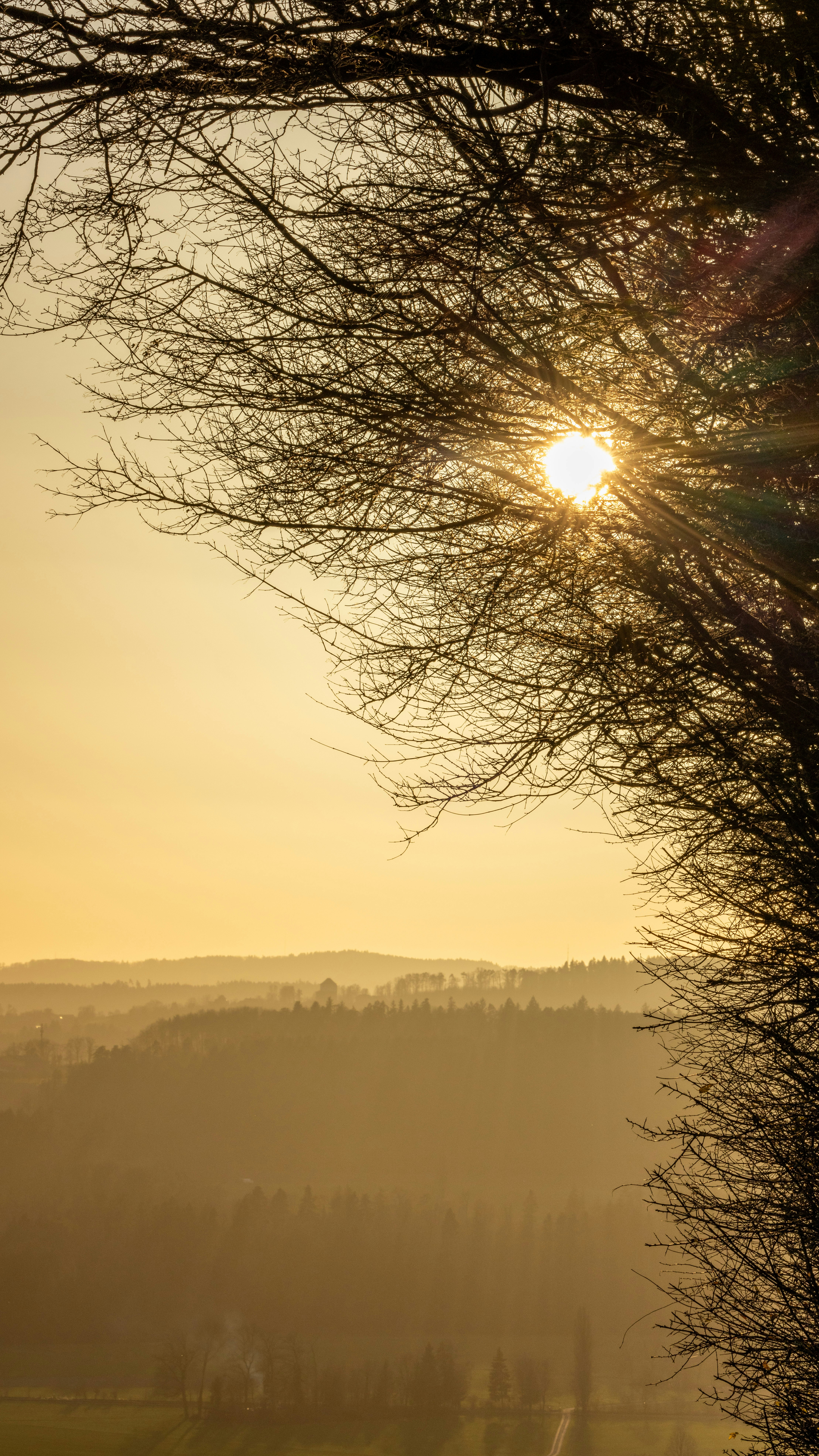 Photo by christian_dubendorfer