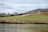A large flock of sheep is grazing on a gently sloped, green pasture. A lone shepherd is standing among the sheep, overseeing them, with a tranquil body of water in the foreground and a line of trees in the background under a partly cloudy sky.