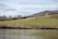 A large flock of sheep is grazing on a gently sloped, green pasture. A lone shepherd is standing among the sheep, overseeing them, with a tranquil body of water in the foreground and a line of trees in the background under a partly cloudy sky.