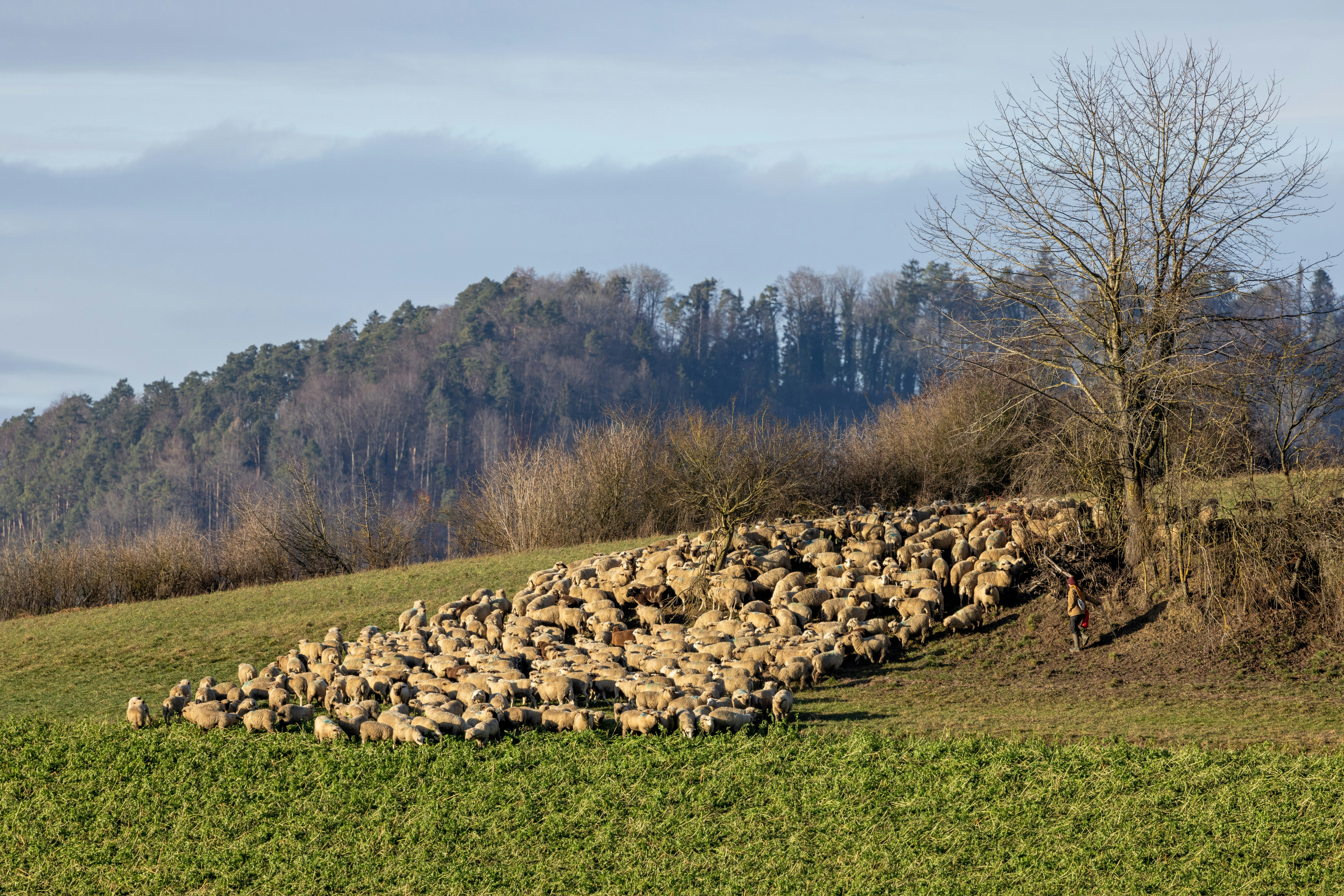 Photo by christian_dubendorfer